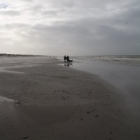 Op het strand