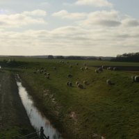 Texels landschap